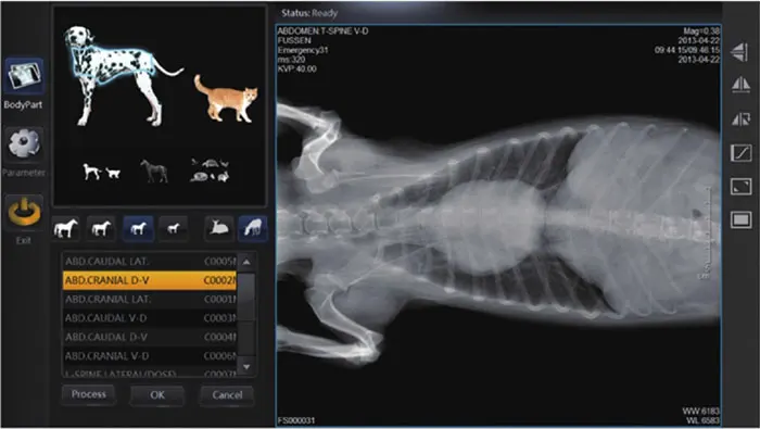 YSFPD4343A Wired or wireless veterinary human software cassette-sized x-ray digital detector DR flat panel