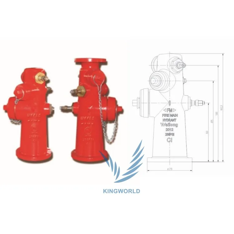 Fm Ul Approved Double Gate 250psi Wet Barrel Fire Hydrant - Buy Wet ...