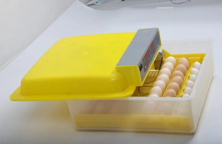 Digital 32 Egg Incubator Catcher Turner Mini Egg Incubator Price In Bangladesh Buy Egg