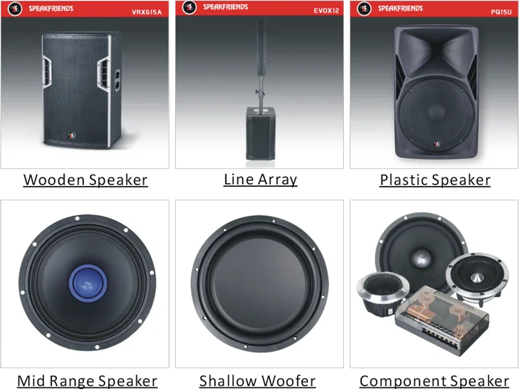 Speakfriends Hot Promotion Item Rechargeable Amplifier Portable Trolley Speaker - ANKUX.COM