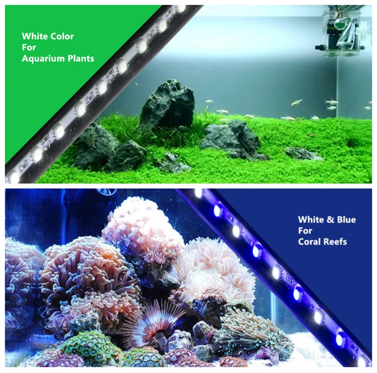 Aquarium Fish Tank Blue/white Remote Controlled Submersible Led Lights