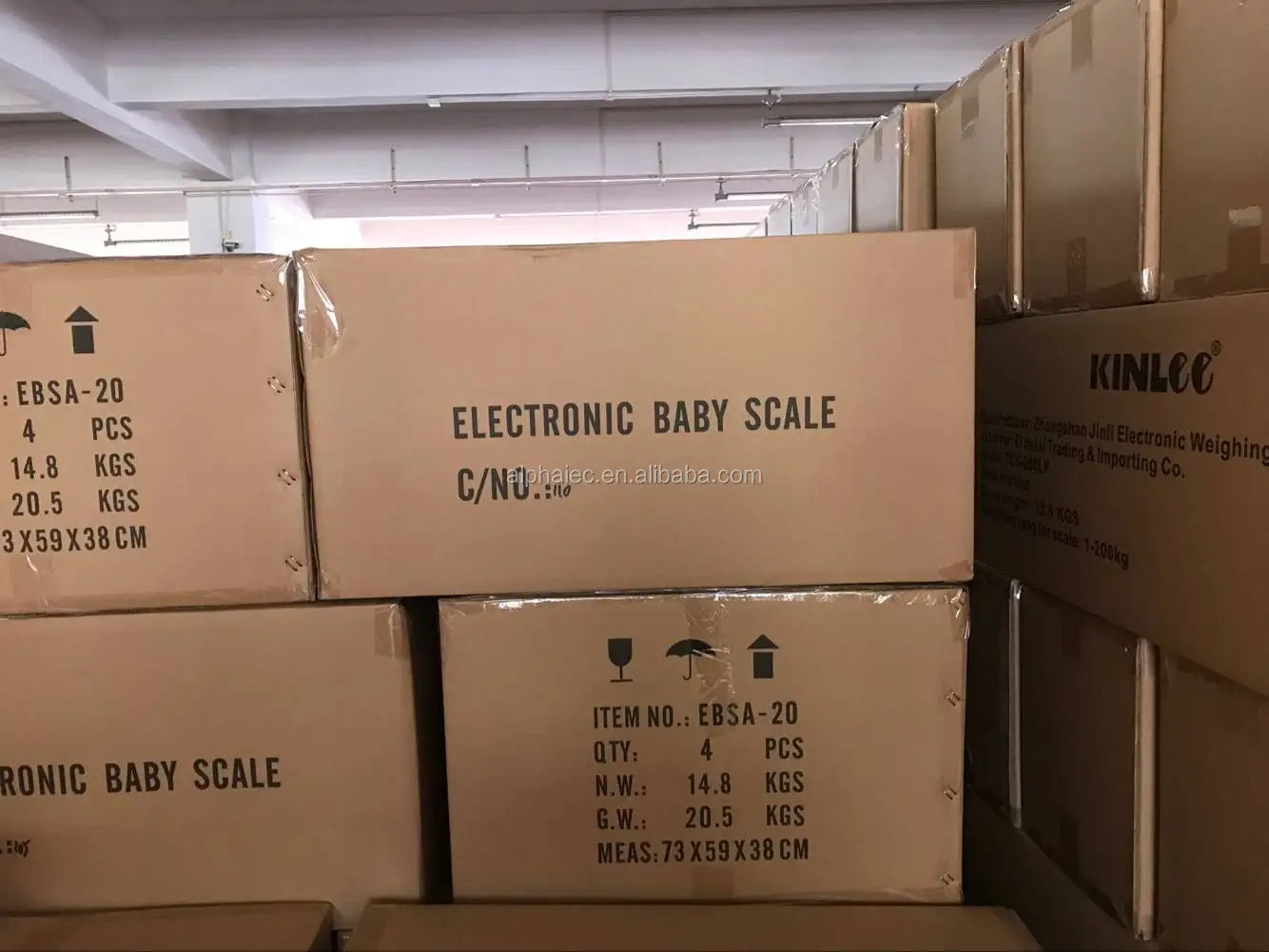 EBSA-20 baby scale2.jpg