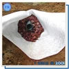 free sample white color pp nonwoven geotextile fabric