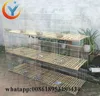 High Quality Pet Cage For Rabbit Welded Wire Mesh Large Scale Farming Cages For Female And Commercial Rabbit cage