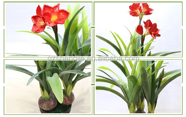 Decorative Indoor Clivia Miniata Flower Artificial Flower Plants Potted  Plant In Guangzhou - Buy Indoor Plants Artificial,Flower Artificial Flower  Plants Potted Plant,Artificial Plants Guangzhou Product on 