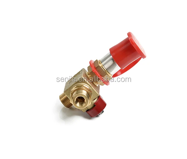 Cng/gnv Kit Natural Gas Filling Valve Ngv1 Buy Gas Filling Valve Ngv1,Natural Gas Filling