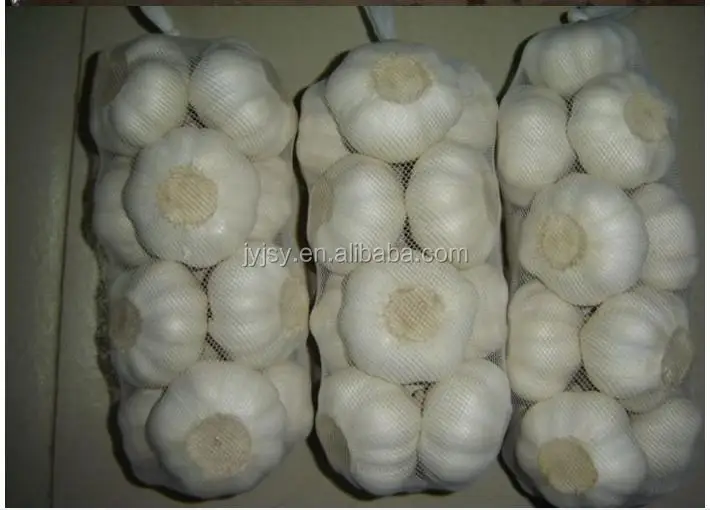 fresh garlic in 10kg carton pure white or normal white