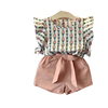 Turkey Wholesale China Children Clothes Fly Sleeve Ananas Printed Girls Set