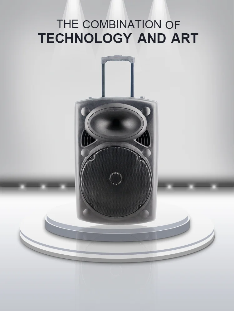 15 inch digital active speaker amplifier module with trolley - ANKUX.COM