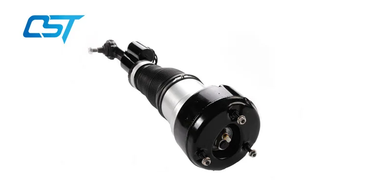 air suspension shock.jpg