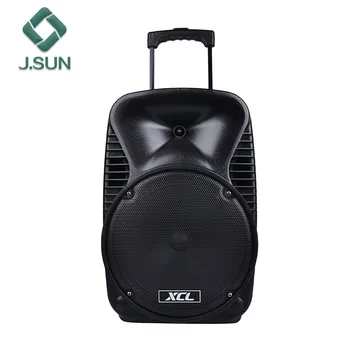 12 inch trolley speaker