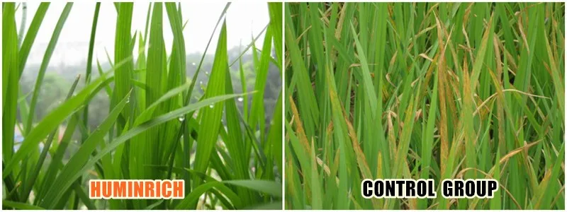 Humic Acid +Liquid Npk Fertilizer.jpg