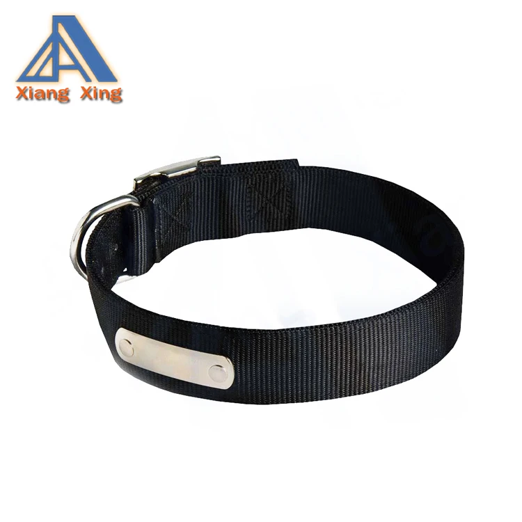 nylon dog collar with metal buckle