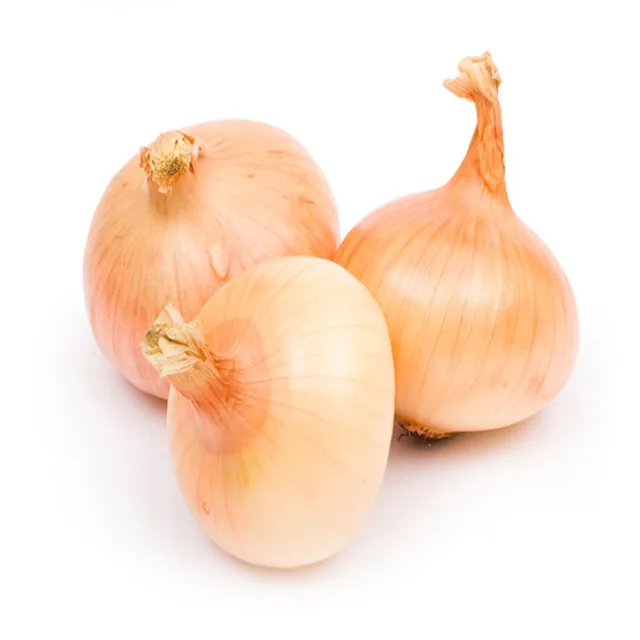 onions wholesale