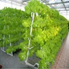 Vertical Grow System Plastic PVC Pipe Hydroponic Grow Systems for Sale