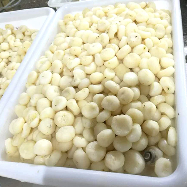 425g Canned Water Chestnut Slices Buy Top Quality Canned Water