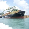 China Shipping company container service sea Freight forwarder from China to Oakland CA