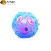 Pet Leakage Food Interactive Chew TPR Dog Toy Ball