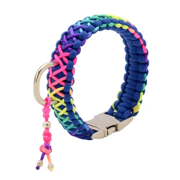 Deluxe Rainbow King Cobra Paracord Pet Dog Collar And Lead With Silver ...
