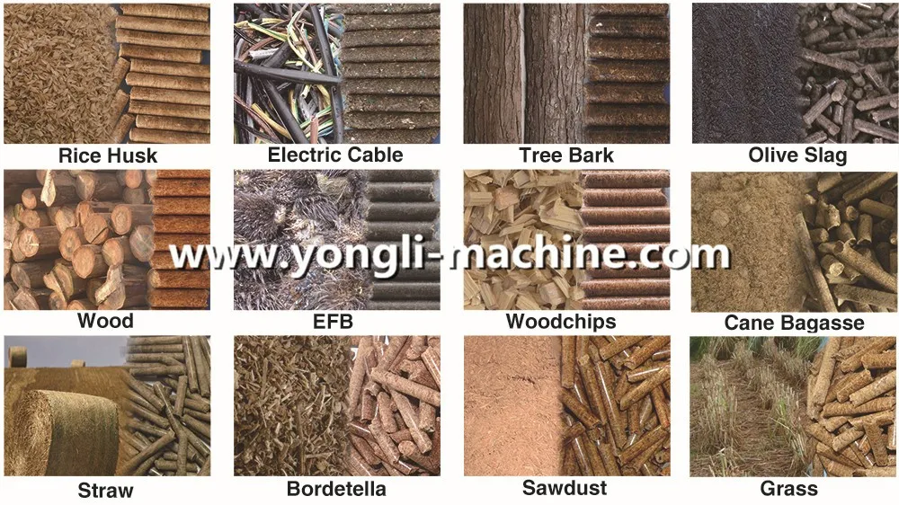 Wood Biomass Pellet Making Line/Alfalfa Pellet Press Machine