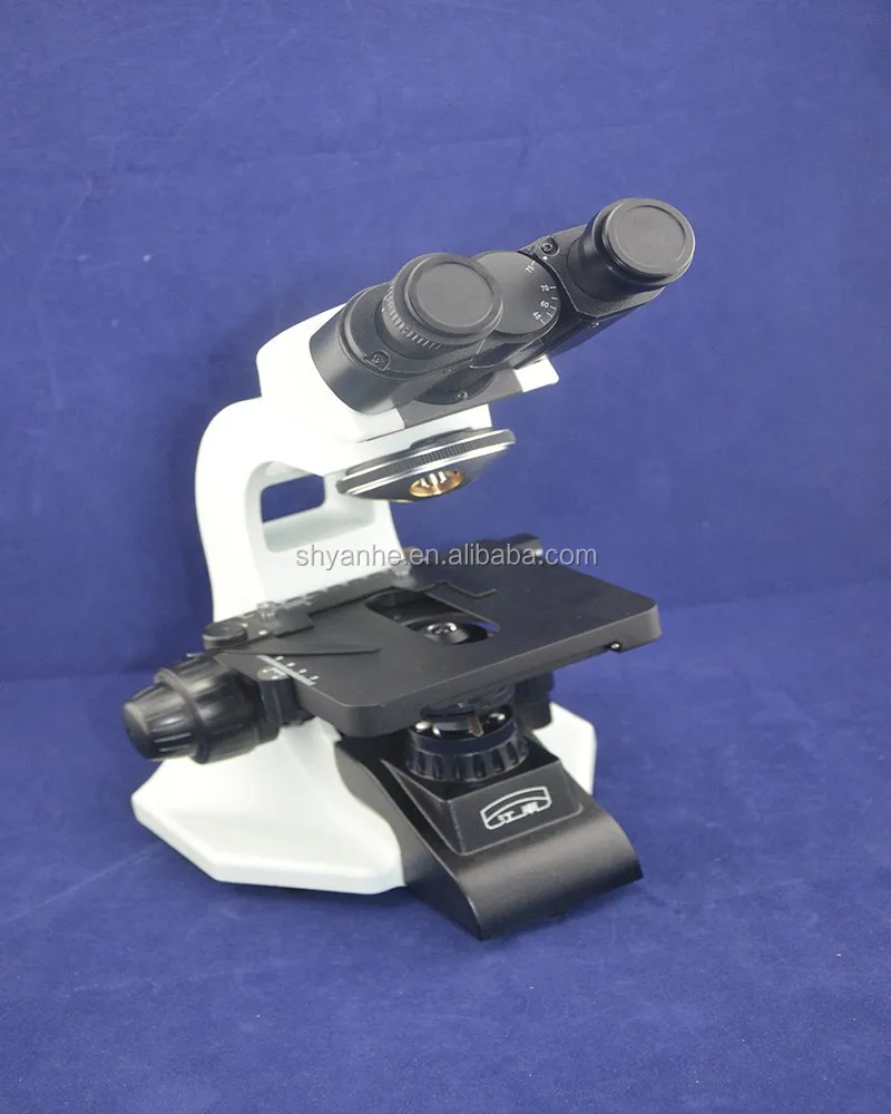 Bm1000 Cheap Biological Binocular Microscopes Prices Buy Biological