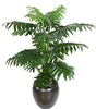 EY8006-18PUS make your room alive,pure and fresh interior decoration 1.9m traveller's tree