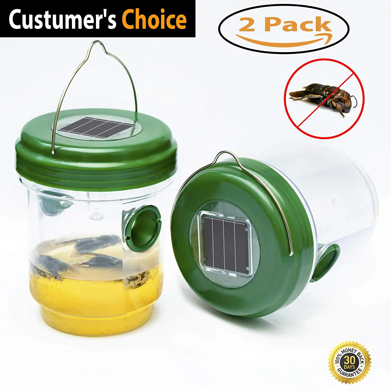 No Bottom Seam Yellow Jackets Wasp Repellent Hornet Trap 2 Pack Wasp 