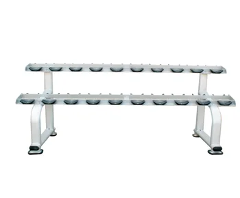 Guangzhou Gym Equipment Manufacturer Ama 8837 Dumbbell Storage