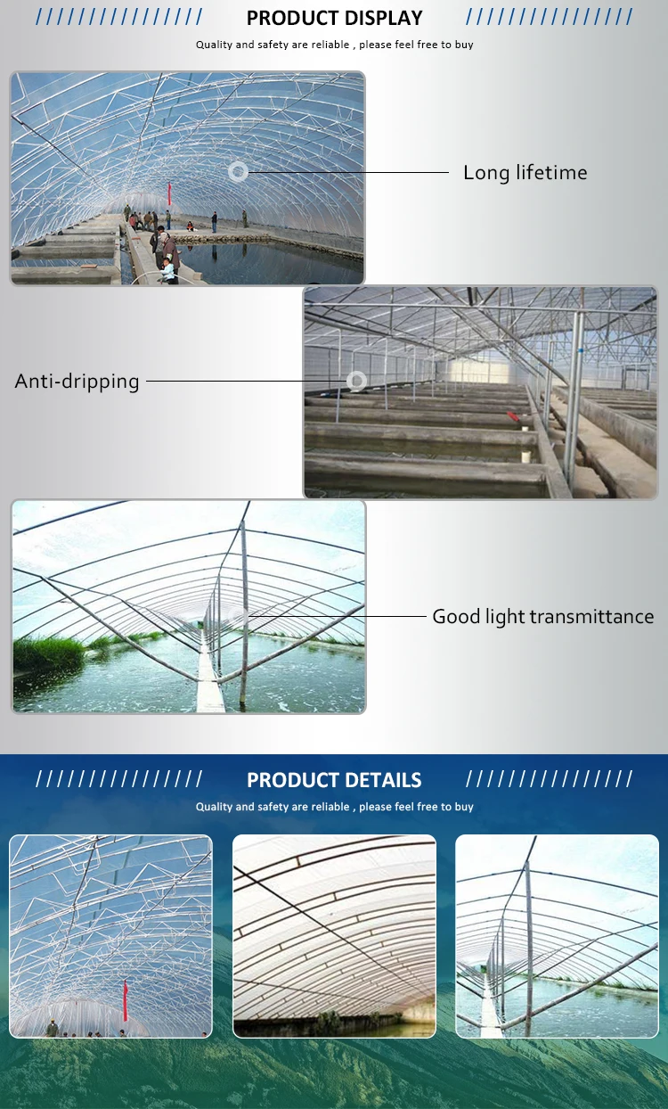 greenhouse plastic.jpg