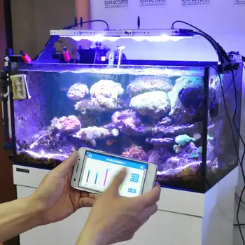 aquarium led light price