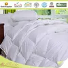 Double comfort goose down comforter