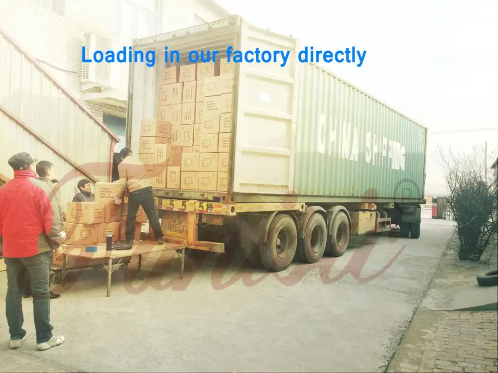 Bb Key Gold Euphonium