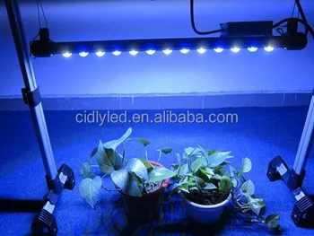 Aquarium Led Verlichting 14000k 60 Watt Led Aquarium Verlichting ... Aquarium Led Verlichting 14000k 60 Watt Led Aquarium Verlichting ...