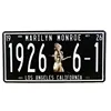 American USA famous figure,building,landscape on car/custom License Plate for decoration