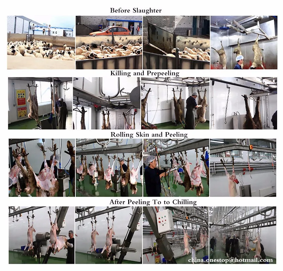 Halal Abattoir Machine Lamb Slaughter Equipment Sheep Slaughterhouse