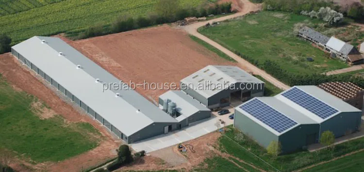 Poultry shed design modern chicken farm building for South Africa