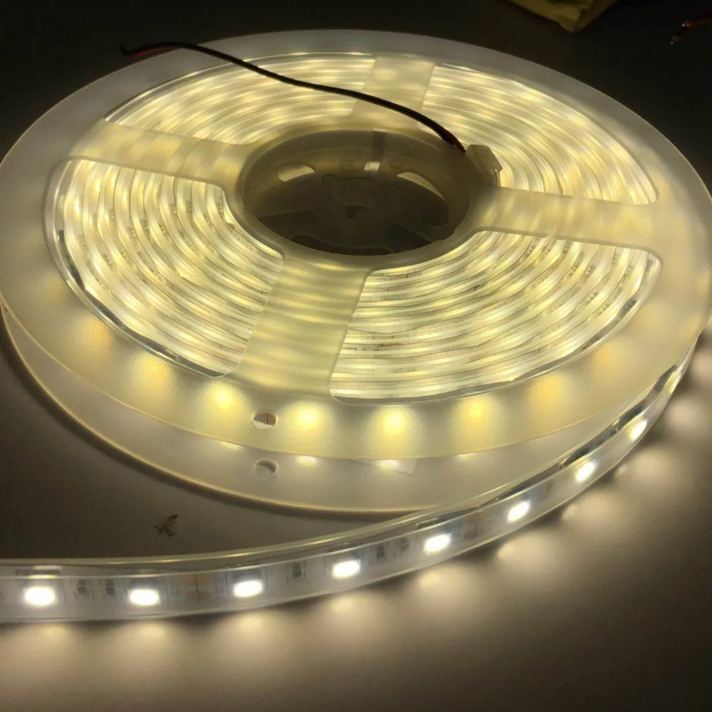 Decoration High Quality LED Strip Light IP67 IP68 DC12V/24V 5050 Wholesale 60leds