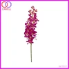 long stem types of fresh cut orchid flowers