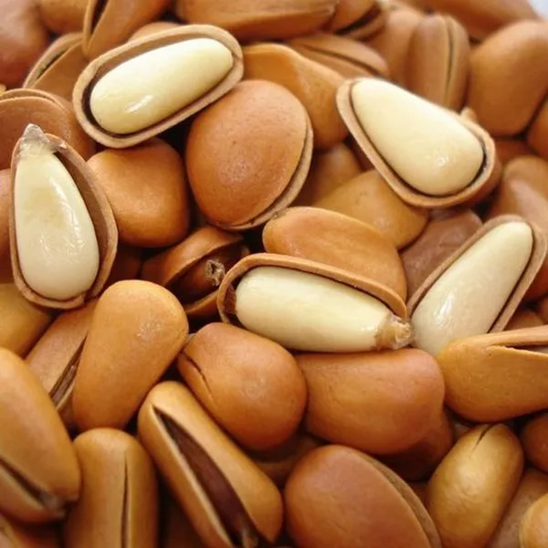 Pine Nuts Indian Name Buy Pine Nuts Indian Name,Pine Nuts In Tamil