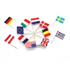 Eco friendly cocktail picks with flag decorative flag picks