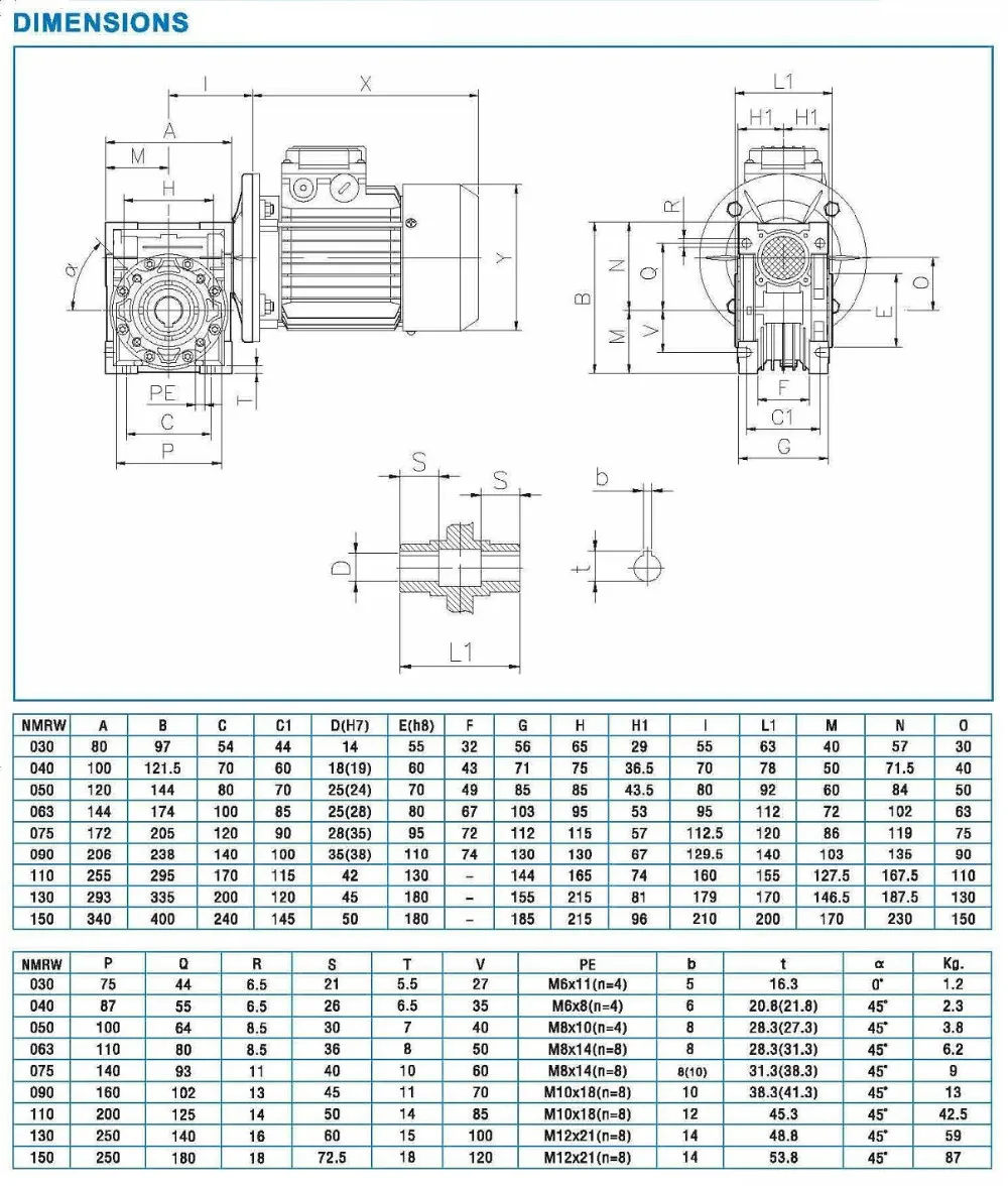 worm gear reducer