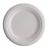 /product-detail/eco-friendly-biodegradable-sugarcane-plates-bagasse-disposable-paper-plate-62210278121.html