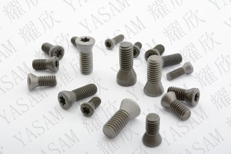 TORX screws (19)