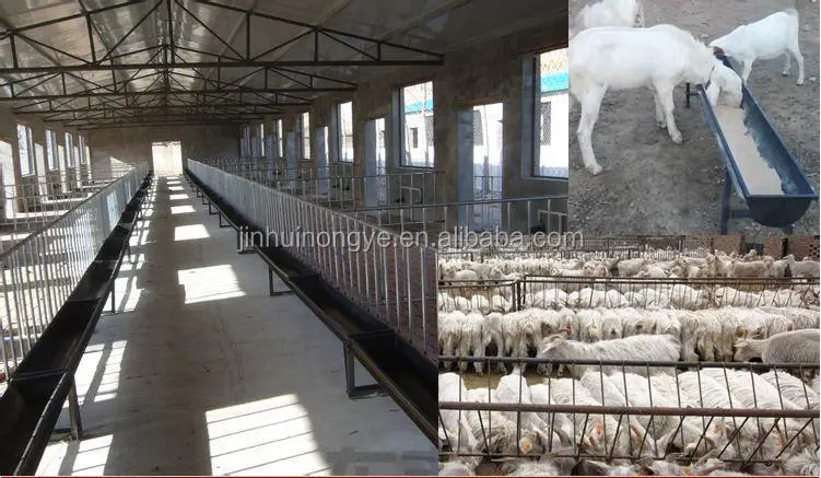 sheep and goat farming/sheep farm/ sheep shed overall design drawings