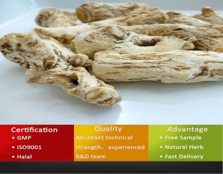 Radix Angelicae Sinensis/iso Angelica Extract/natural Radix Angelicae