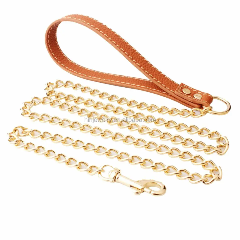 dog leash.jpg