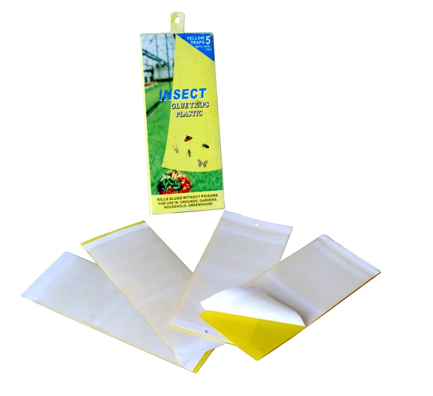3 Years Quality Guarantee New Generation Insect Bug Fly Glue Paper Trap