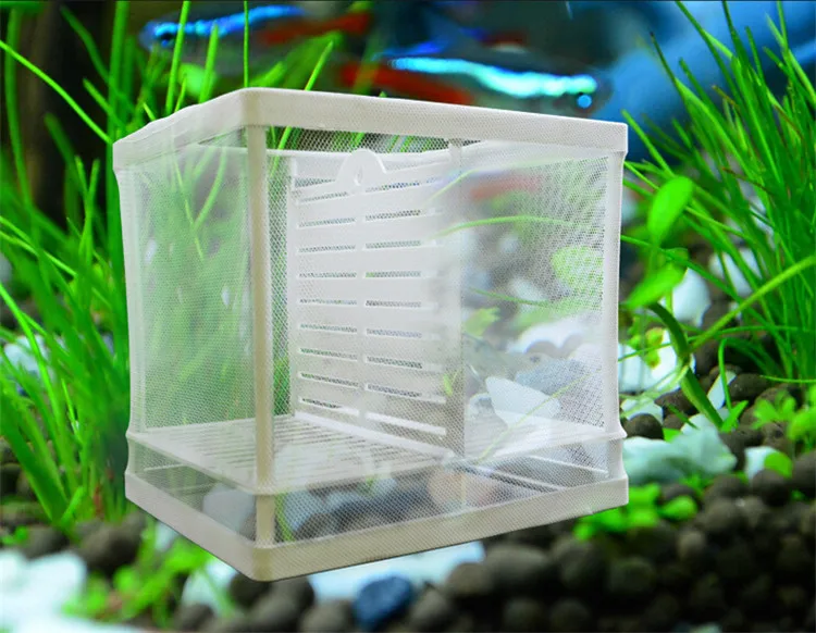 Aquarium Fish Tank Guppy Hatchery Breeding Hospital Soft Net Baby Fry ...