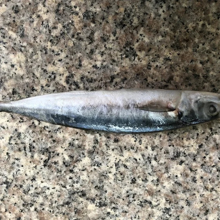 Wholesale Seafood Round Scad Mackerel Fish For Sale Buy Round Scad Mackerel,Round Scad For