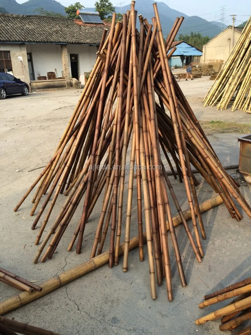 Fdreusable Bamboo Cane For Supporting And Sale Buy Bamboo Cane